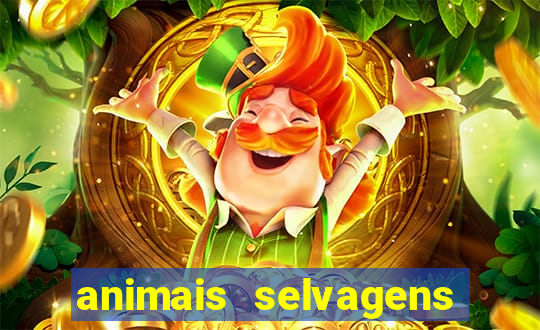 animais selvagens fotos e nomes